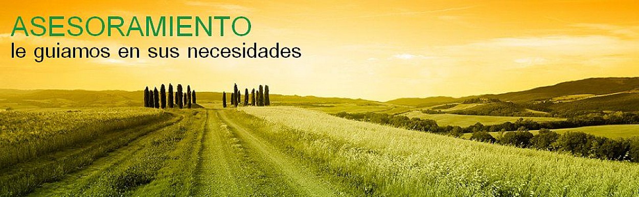 asesoramiento.jpg