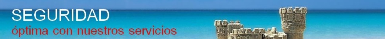 seguridad.jpg